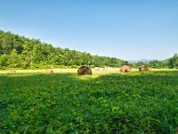 Bailed Hay at Crooked Creek